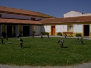 Coudalaria-Alentejo-Portugal (1)